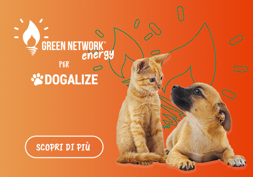 Green Network per Dogalize: dai energia agli animali e risparmia su luce e gas!